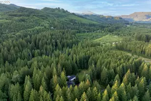 180 Sassys Crk Rd, Ariel, WA 98603 - Photo 36
