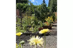 9845 SW Omara St, Tigard, OR 97223 - Photo 20