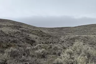 Williams Wall, Baker City, OR 97814 - Photo 1