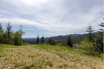 Snag Mountain Rd, Washougal, WA 98671 - Photo 10