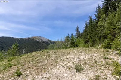 Snag Mountain Rd, Washougal, WA 98671 - Photo 12