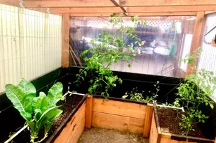 1050 Broadway Ave, Winchester Bay, OR 97467 - Photo 40