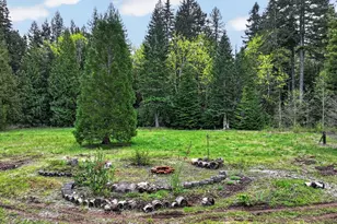 61 Sunday Dr, Cook, WA 98605 - Photo 38