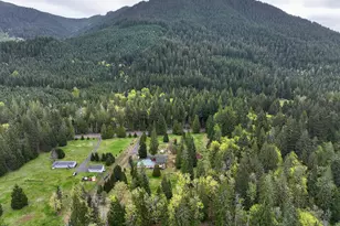 61 Sunday Dr, Cook, WA 98605 - Photo 34