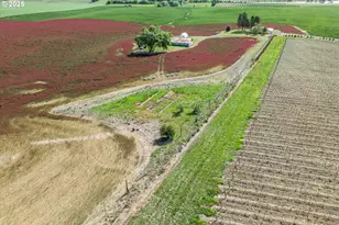 9030 NW Pike Rd, Yamhill, OR 97148 - Photo 40