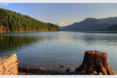 281 Fir Rd, Ariel, WA 98603 - Photo 44