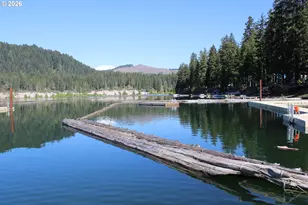 Cabin 196 Northwoods, Cougar, WA 98616 - Photo 26
