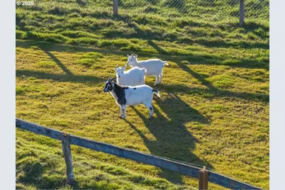 38742 Scravel Hill Rd, Albany, OR 97322 - Photo 46