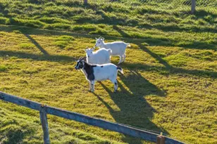 38742 Scravel Hill Rd, Albany, OR 97322 - Photo 46