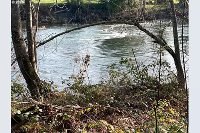 S Old Highway 99 S, Myrtle Creek, OR 97457 - Photo 12