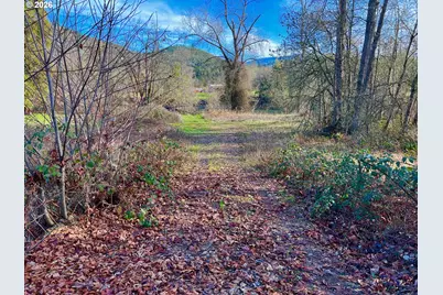 S Old Highway 99 S, Myrtle Creek, OR 97457 - Photo 2