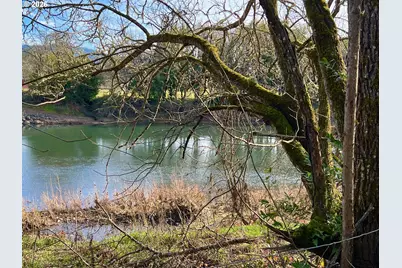 S Old Highway 99 S, Myrtle Creek, OR 97457 - Photo 10