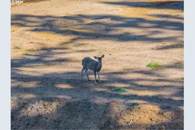63539 Andrews Rd, Coos Bay, OR 97420 - Photo 4