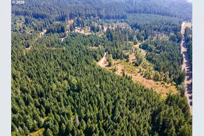 Hawk Meadows Rd #2, Carson, WA 98610 - Photo 40
