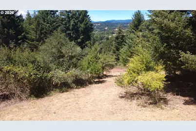 Cooper Hollow Rd, Dallas, OR 97338 - Photo 6