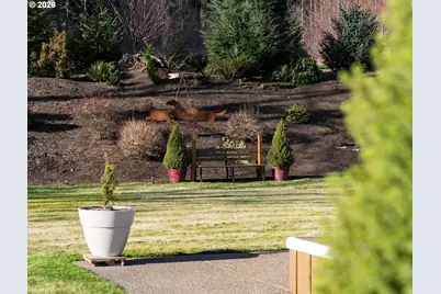 35902 NE 247th Ave, Yacolt, WA 98675 - Photo 32