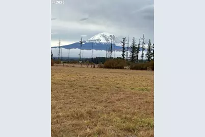 247 Troh Lane, Glenwood, WA 98619 - Photo 4