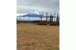 247 Troh Ln, Glenwood, WA 98619 - Photo 4