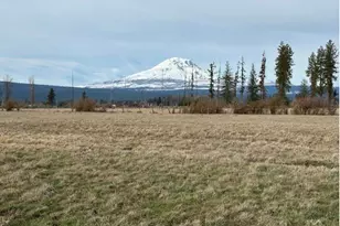 247 Troh Ln, Glenwood, WA 98619 - Photo 22