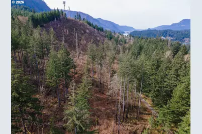 Dry Creek Rd, Cascade Locks, OR 97014 - Photo 10