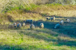 61565 Fairview Rd, Coquille, OR 97423 - Photo 28
