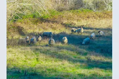 61565 Fairview Rd, Coquille, OR 97423 - Photo 38