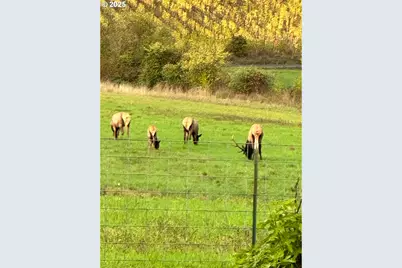 21101 SW Eagle Point Rd, McMinnville, OR 97128 - Photo 36