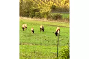 21101 SW Eagle Point Rd, McMinnville, OR 97128 - Photo 36