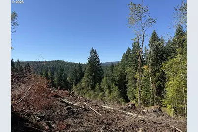 74861 Conifer Ct, Cottage Grove, OR 97424 - Photo 10