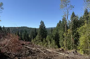 74861 Conifer Ct, Cottage Grove, OR 97424 - Photo 10