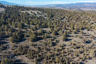 26548 Chimney Gulch Rd, John Day, OR 97845 - Photo 36