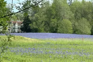 7535 NW Quinault St, Camas, WA 98607 - Photo 22