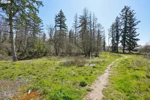 11603 NE 138th Ave, Brush Prairie, WA 98606 - Photo 32