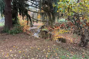 202 NE Fulton St, Roseburg, OR 97470 - Photo 40