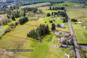 220 Plomondon Rd, Toledo, WA 98591 - Photo 40