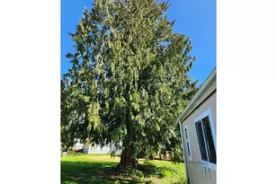 21201 NE 58th St, Vancouver, WA 98682 - Photo 18