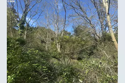 531 8th St, Port Orford, OR 97465 - Photo 4