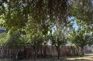 903 S Klickitat St, Goldendale, WA 98620 - Photo 8