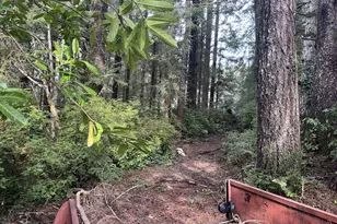 4923 Mitchell Loop Rd, Florence, OR 97439 - Photo 18