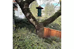 472 SE 72nd Ave, Portland, OR 97215 - Photo 40