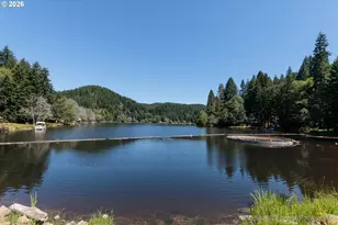 9958 Beach Dr, Birkenfeld, OR 97016 - Photo 32