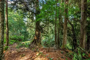 453 Elkland Ct, Cannon Beach, OR 97110 - Photo 40