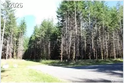 152 Vetter Ln, Onalaska, WA 98570 - Photo 10