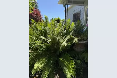 507 S 11th Ave, Cornelius, OR 97113 - Photo 6
