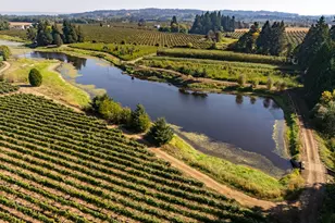 24730 SW Tile Flat Rd, Hillsboro, OR 97123 - Photo 38