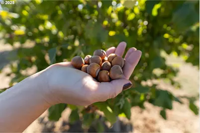 24730 SW Tile Flat Rd, Hillsboro, OR 97123 - Photo 48