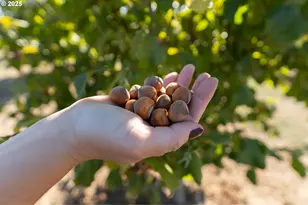 24730 SW Tile Flat Rd, Hillsboro, OR 97123 - Photo 48