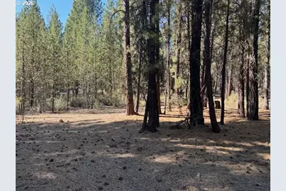Green Forest Dr #Lot 3, Chiloquin, OR 97624 - Photo 1
