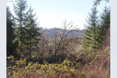Larson Rd, Mossyrock, WA 98564 - Photo 1