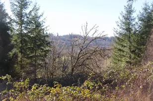 Larson Rd, Mossyrock, WA 98564 - Photo 1